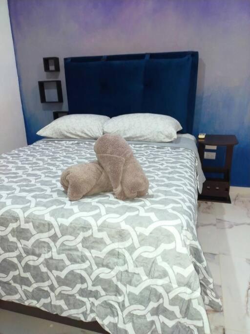 Loft Soliman - Netflix - Hbo - Near Market 28 - Downtown 坎昆 外观 照片