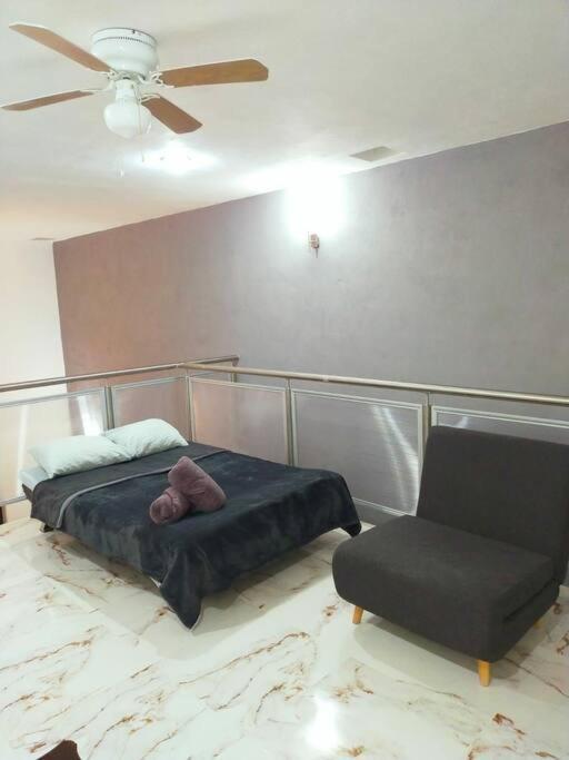 Loft Soliman - Netflix - Hbo - Near Market 28 - Downtown 坎昆 外观 照片